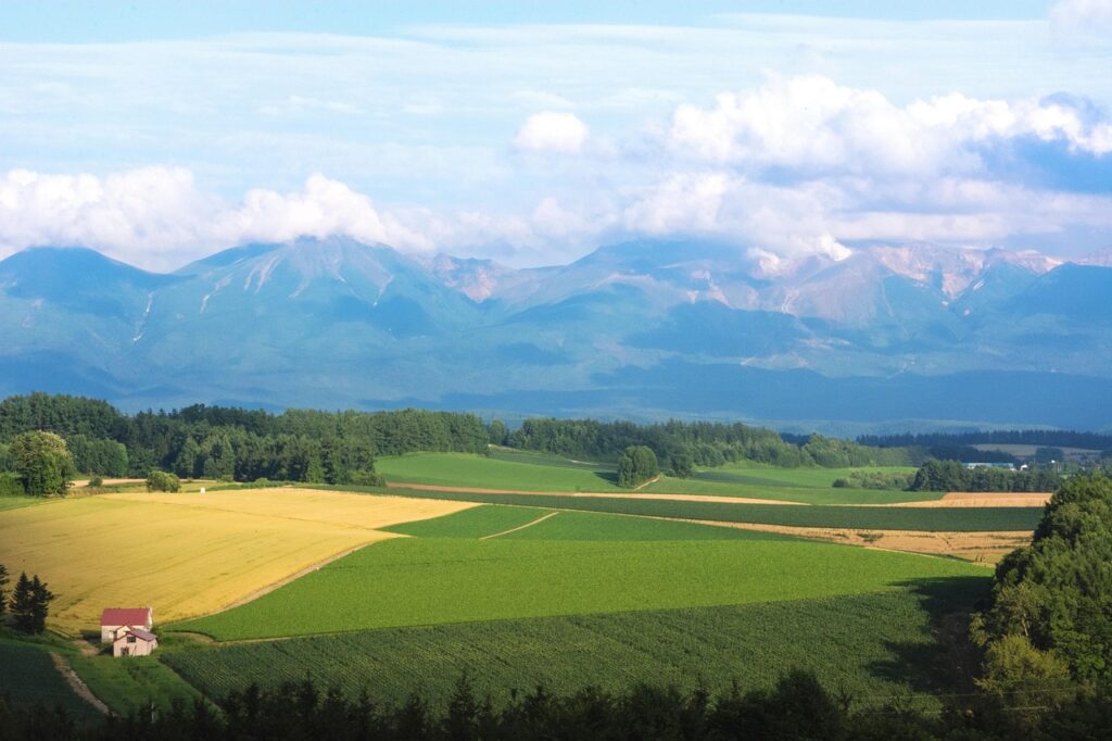 北海道の日本ワインを使った高級プレゼントに最適なアイデアは？